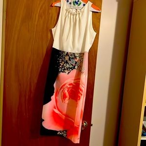 Ted Baker London Holiday/Wedding occasion elegant dress, NWT